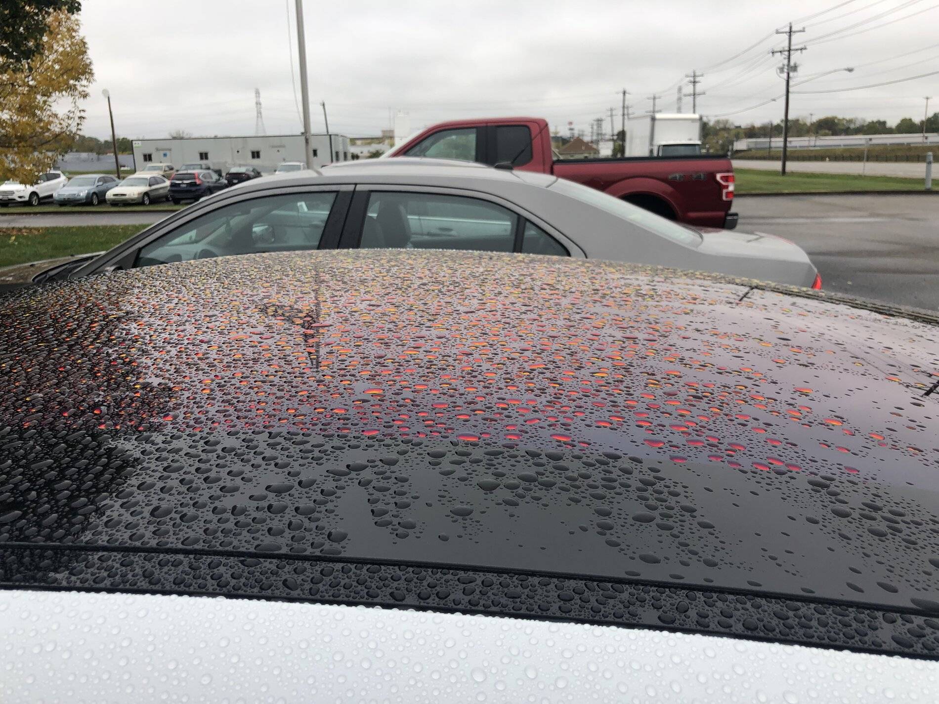 Porsche Taycan Clear protection film (PPF) on the Taycan? raindrops on glass roof
