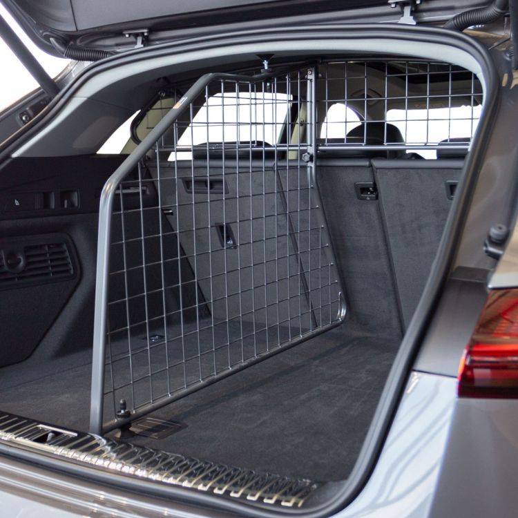 Porsche Taycan Taycan as a family vehicle tdg1641d
