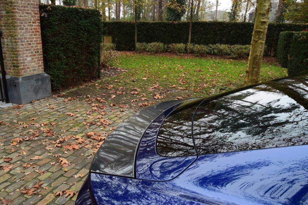 Porsche Taycan Gentian blue with carbon look DSC_0011