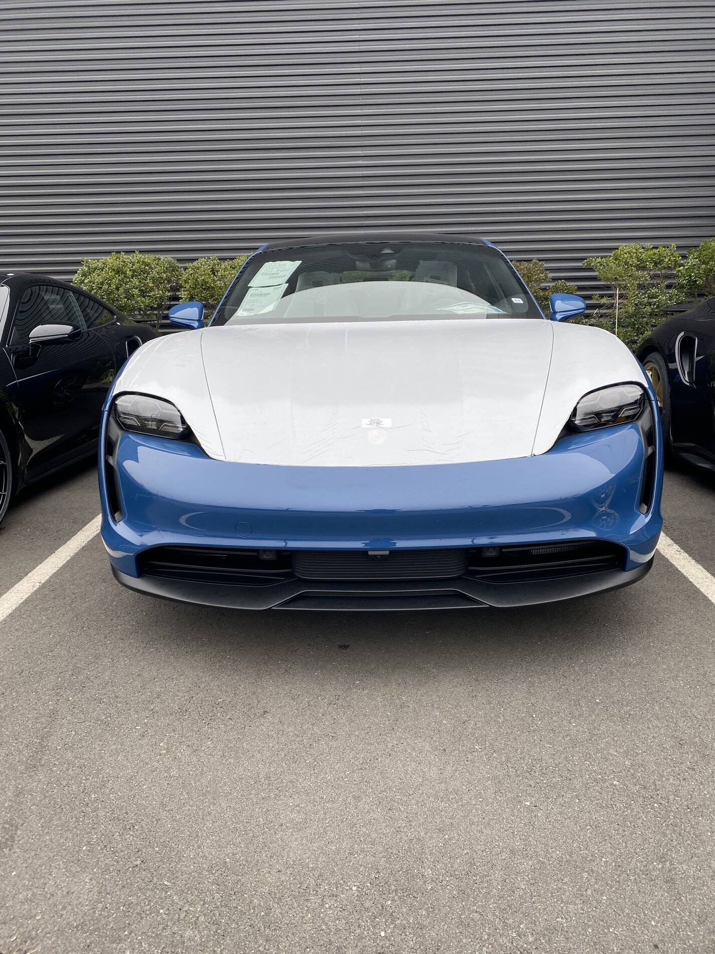 Porsche Taycan NEPTUNE BLUE Taycan Club 7C6ECBE6-ECA7-4CF3-B652-02DA6E480CB9