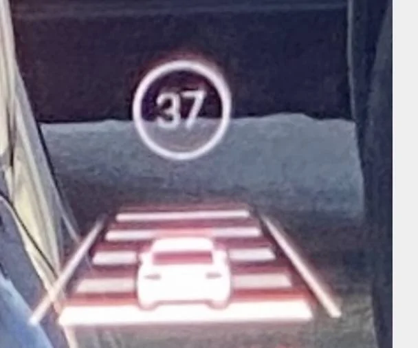 Porsche Taycan Number 37 appearing in HUD occasionally 1610060385841