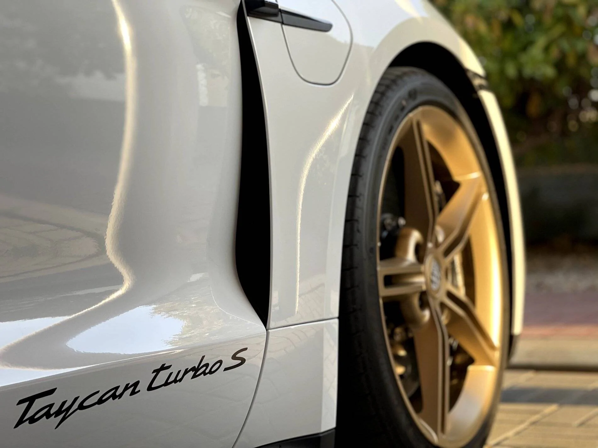 Porsche Taycan Members Say Hello Here! t2