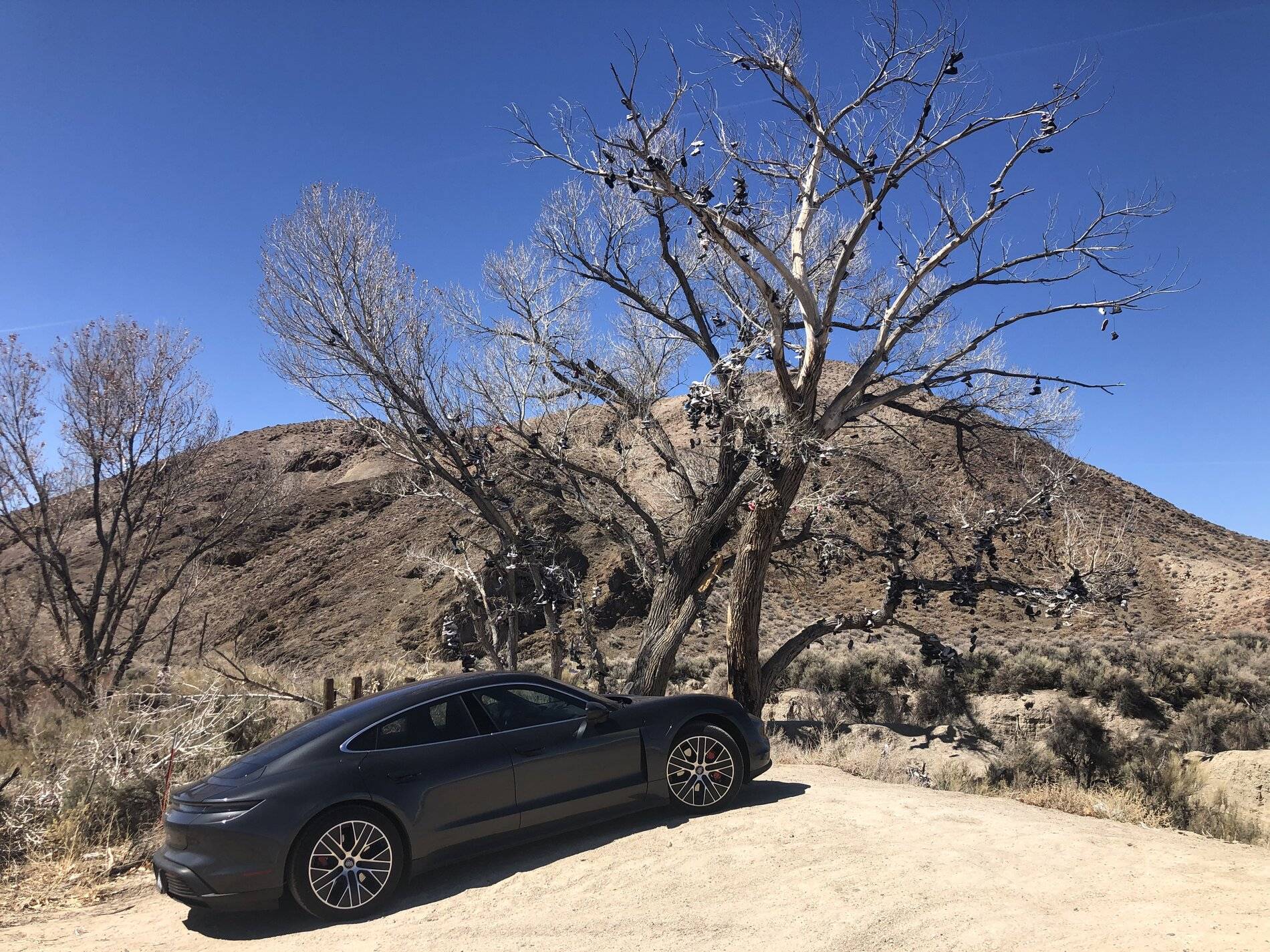 Porsche Taycan Location! Location! Location!  Post Artistic Photos of Your Taycan with Scenery 49788AF7-C2F8-4BF6-BDA8-DC62AF52B8D1