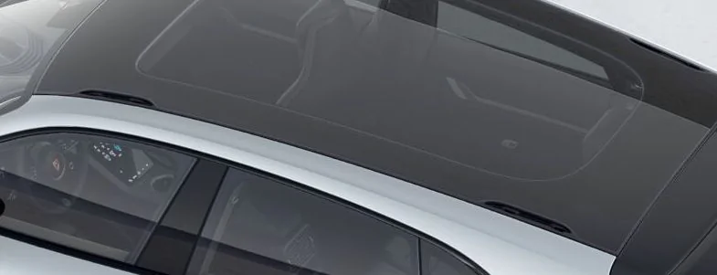 Porsche Taycan Roof rails or not to