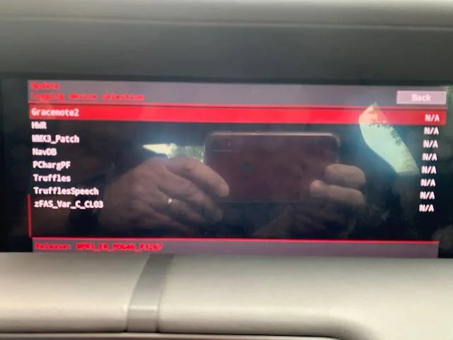 Porsche Taycan PCM Engineering mode, contains PCM reboot IMG_8585