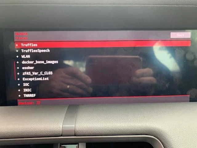 Porsche Taycan PCM Engineering mode, contains PCM reboot IMG_8576