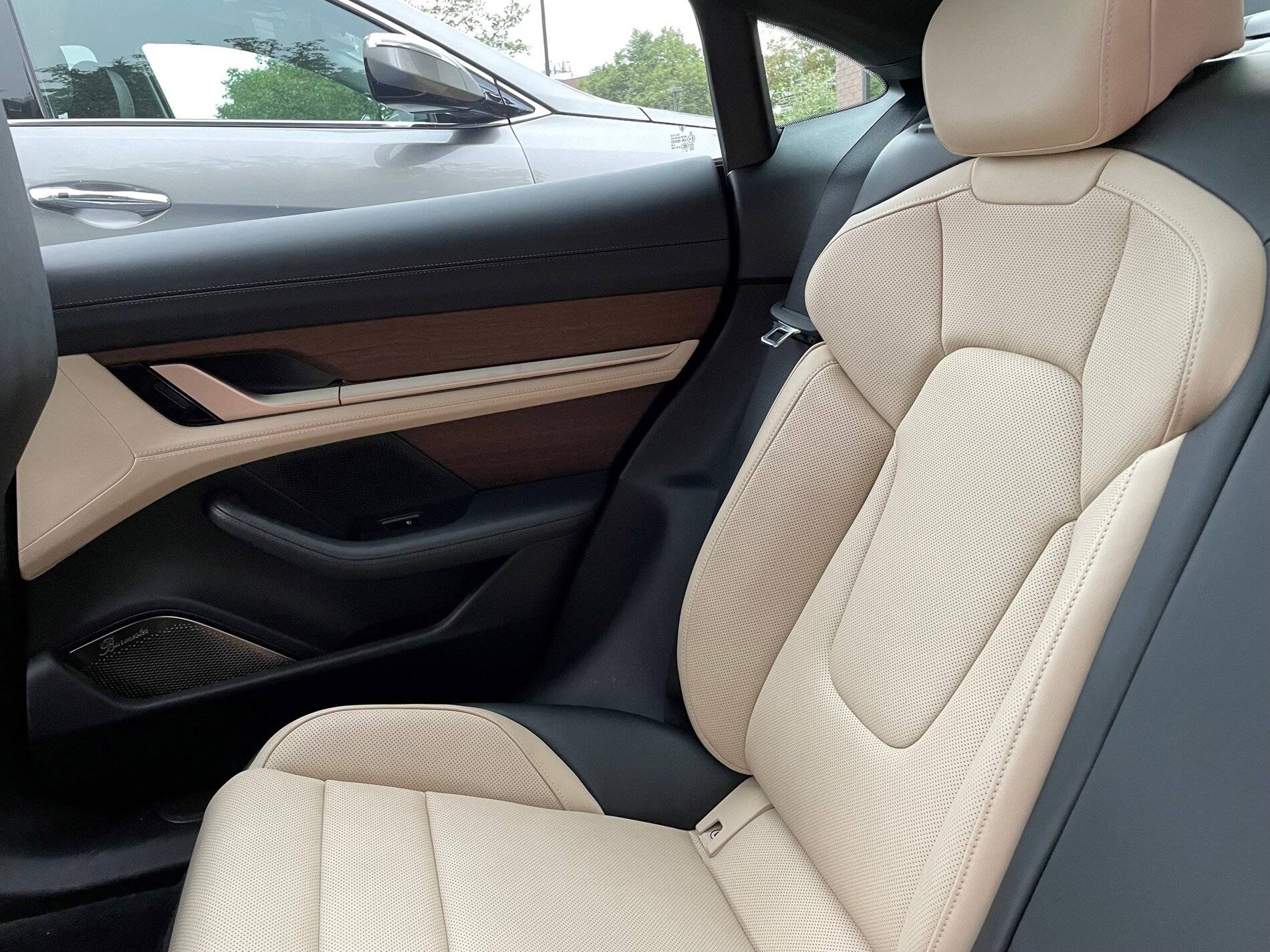 Porsche Taycan Anyone option the wood trim and thoughts on it? Interior2