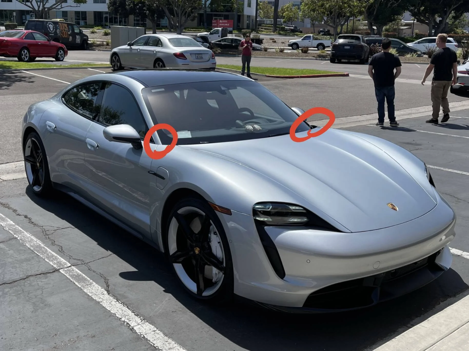 Porsche Taycan Ants intestation..... probably man-made, seeking for advice 1