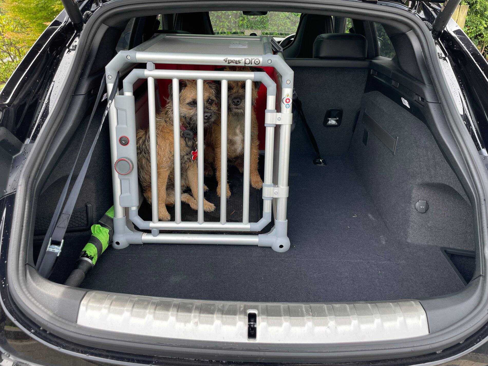 Porsche Taycan Dogs transport in CT cage1