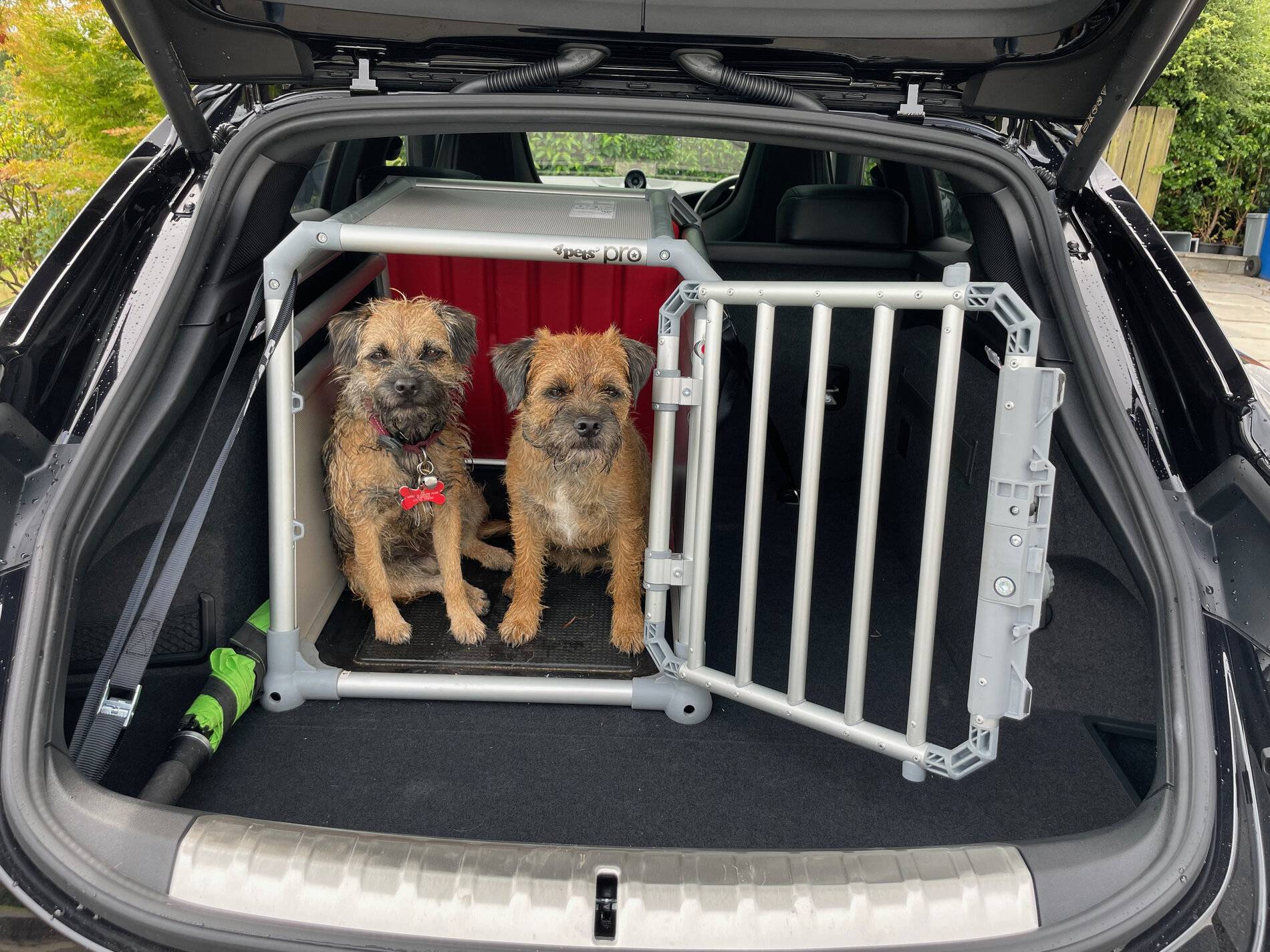 Porsche Taycan Dogs transport in CT cage2
