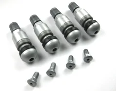 Porsche Taycan Tire Pressure Sensors (TPMS) - OEM and Aftermarket Resources 1629920030682