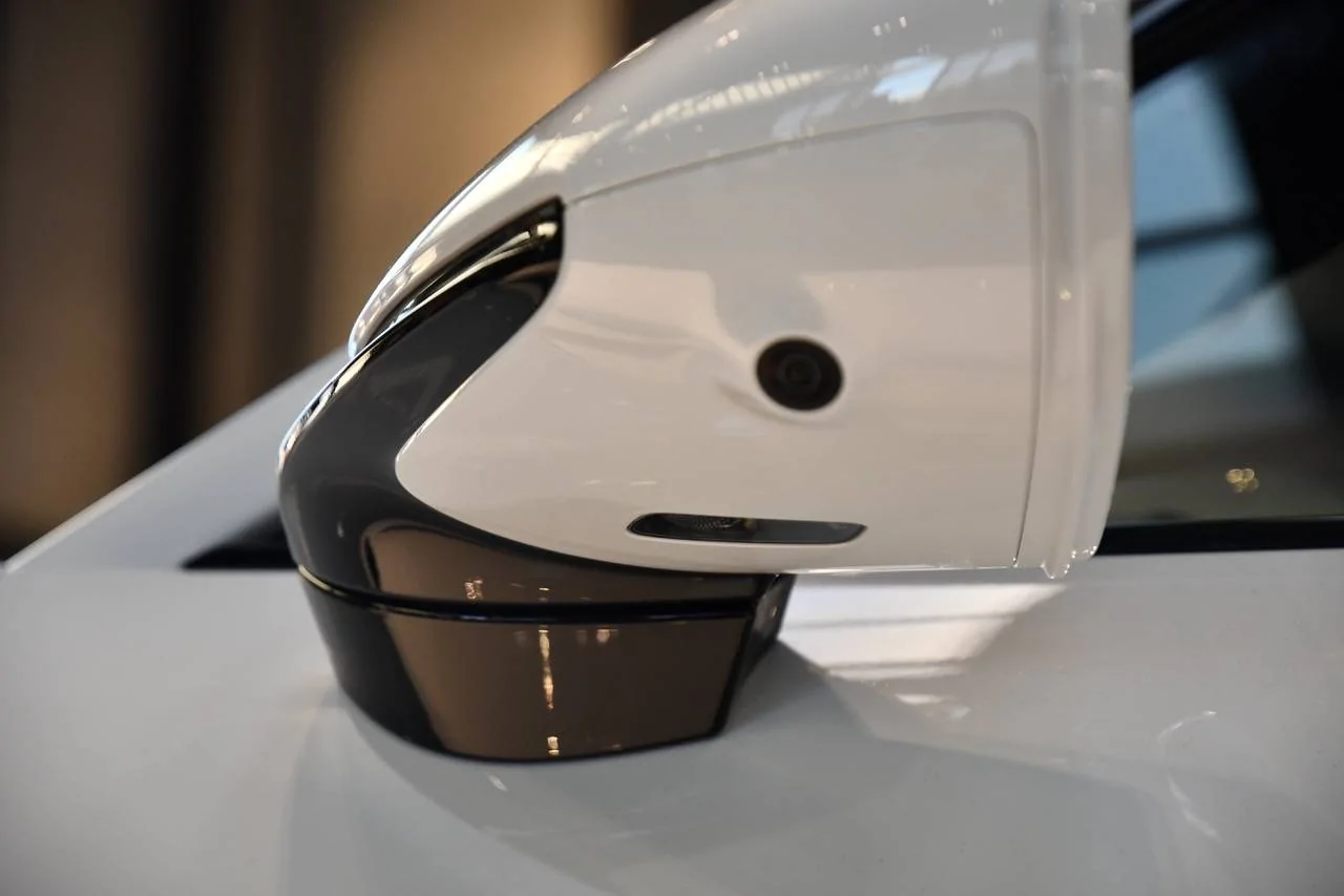 Porsche Taycan Paint options on side view mirrors. DSC_3189