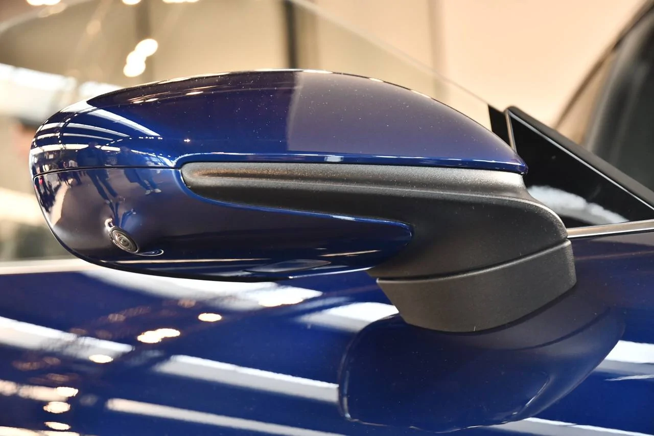 Porsche Taycan Paint options on side view mirrors. DSC_3198