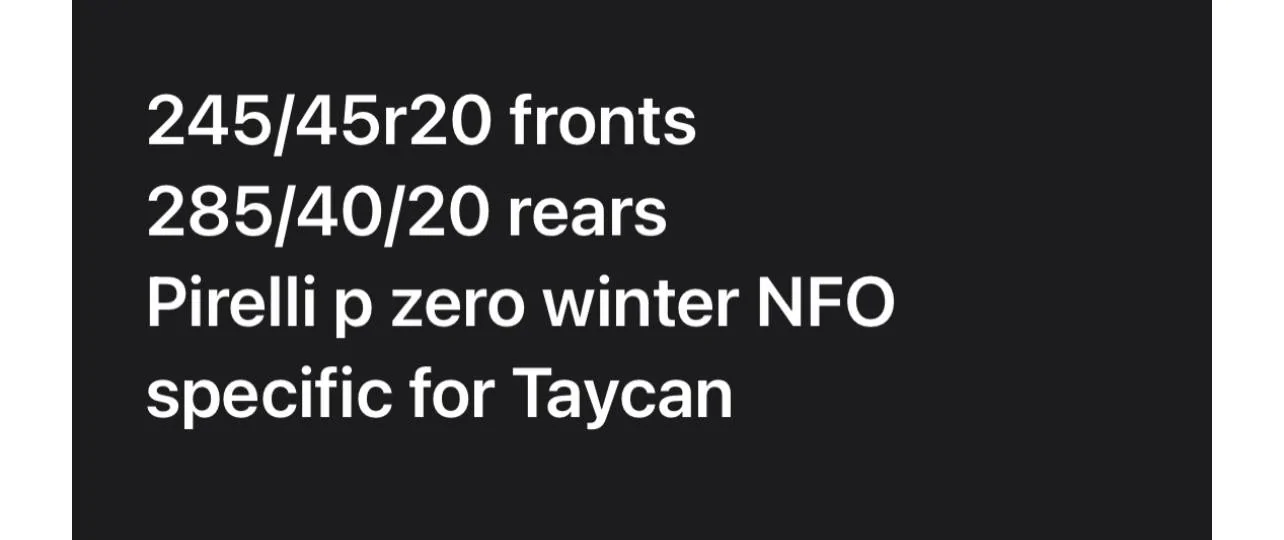 Porsche Taycan Ordering Build With Winter Tires? 1D96A75F-7D84-4590-86BE-591A2DE642AA