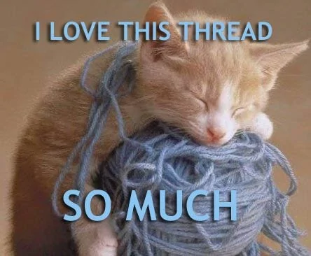 Porsche Taycan Western Europe Taycan road-trip report cat-cats-kitten-kitty-pic-picture-funny-lolcat-cute-fun-lovely-photo-images-i-love-this-threa