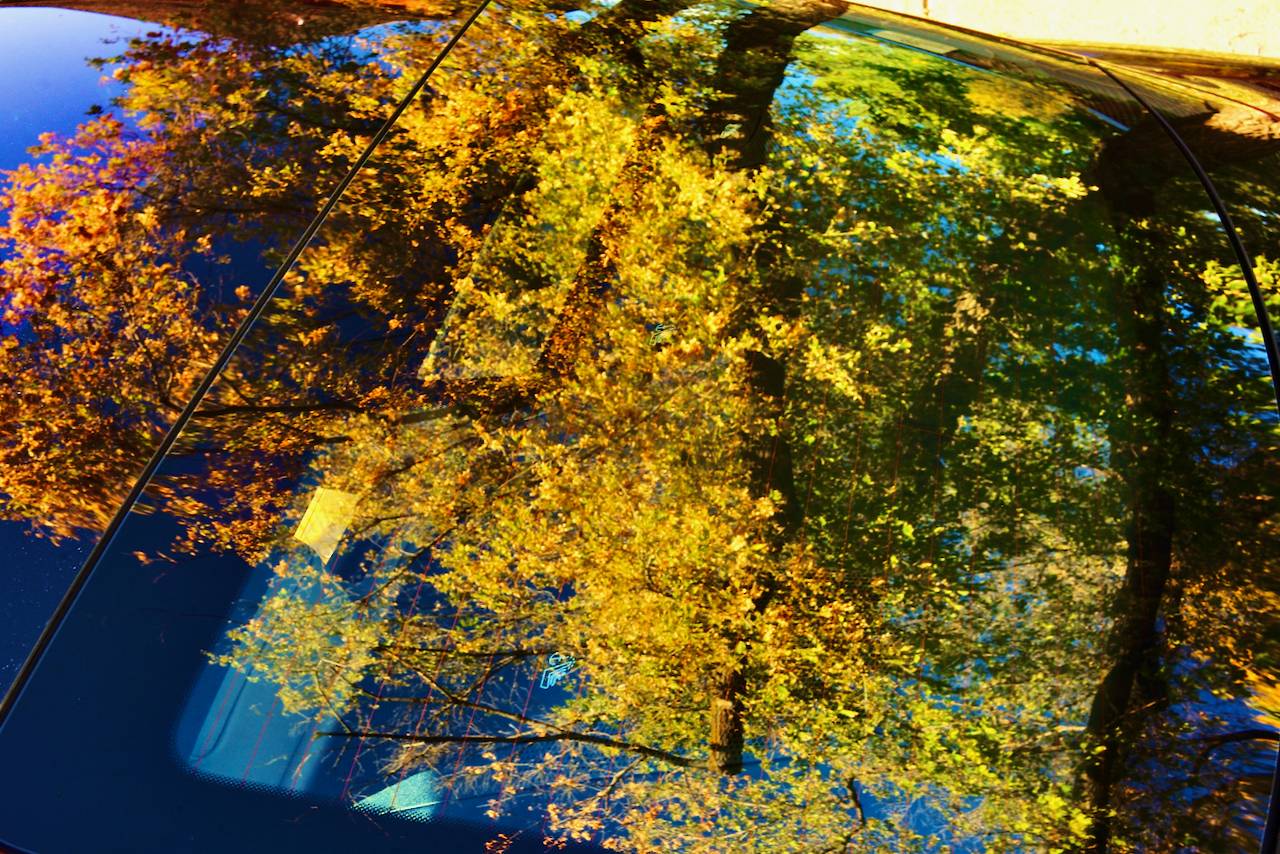 Porsche Taycan Thursday is a great day to see a Taycan in the Autumn... L1002203