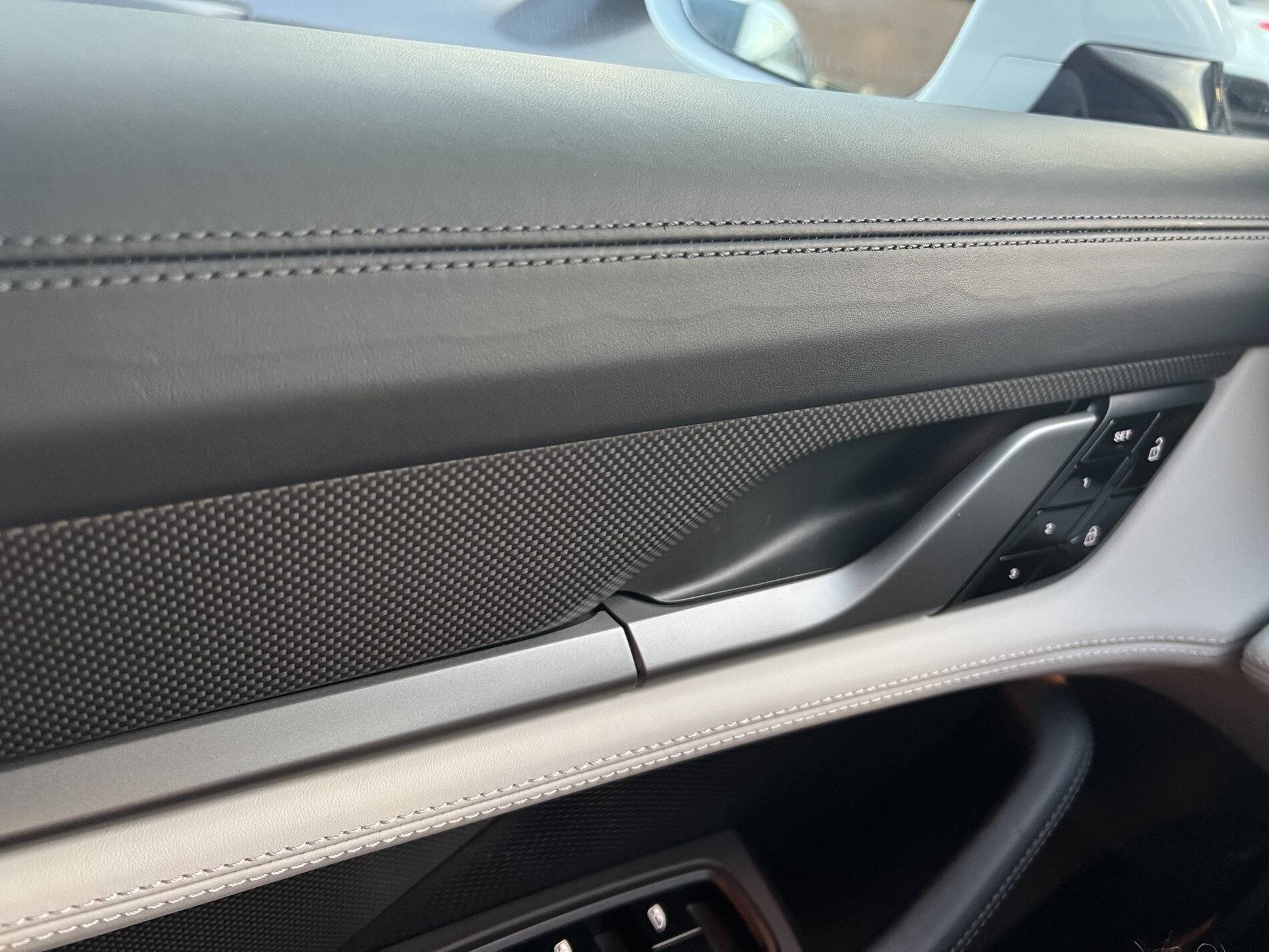 Porsche Taycan Wavy Line in Door Panel Leather F80ABDE8-2C64-45B9-9E35-C730075D0CD8