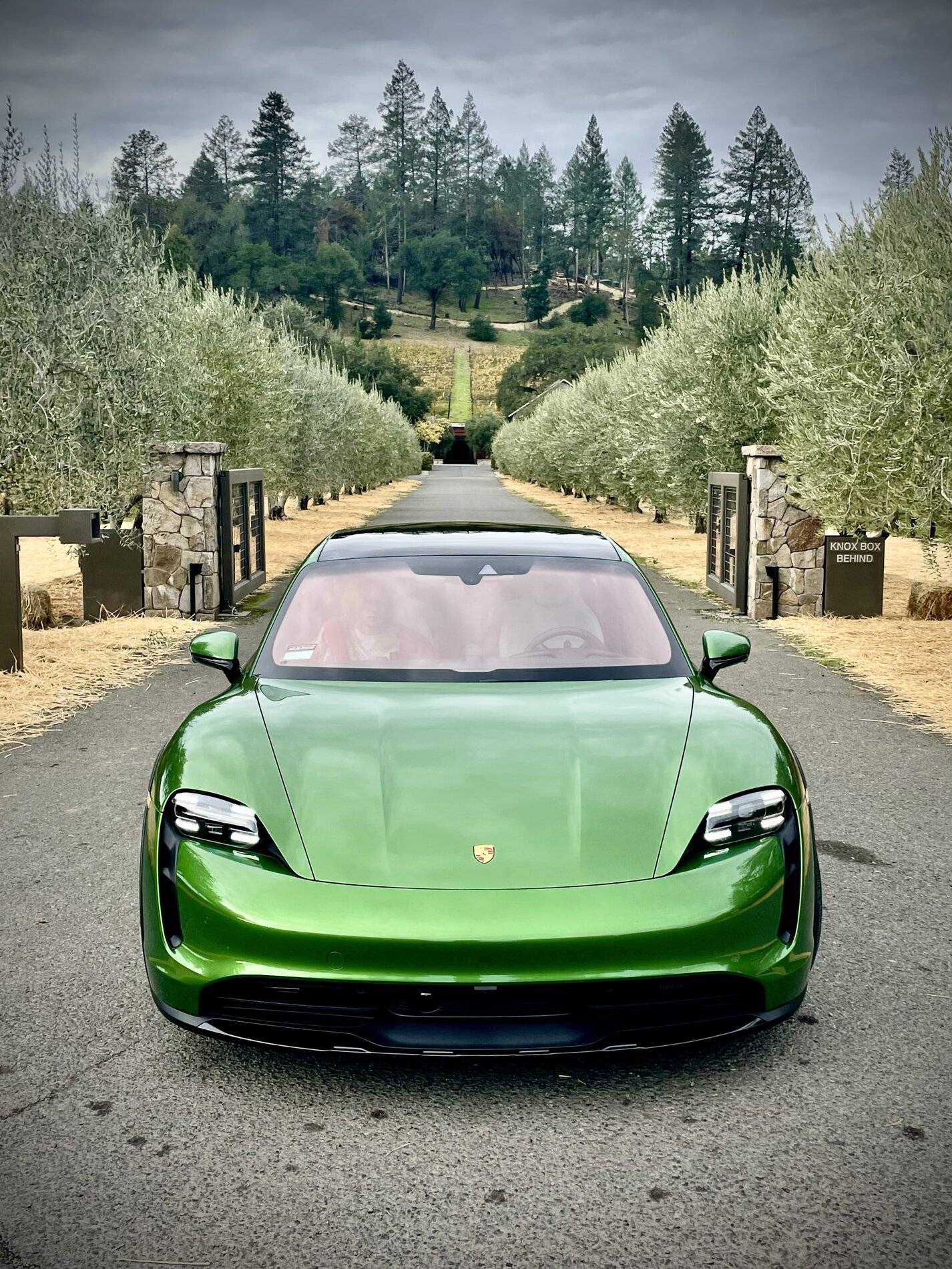 Porsche Taycan Location! Location! Location!  Post Artistic Photos of Your Taycan with Scenery 339FDD89-E9EE-4944-B1C0-48E3B56D1ED1