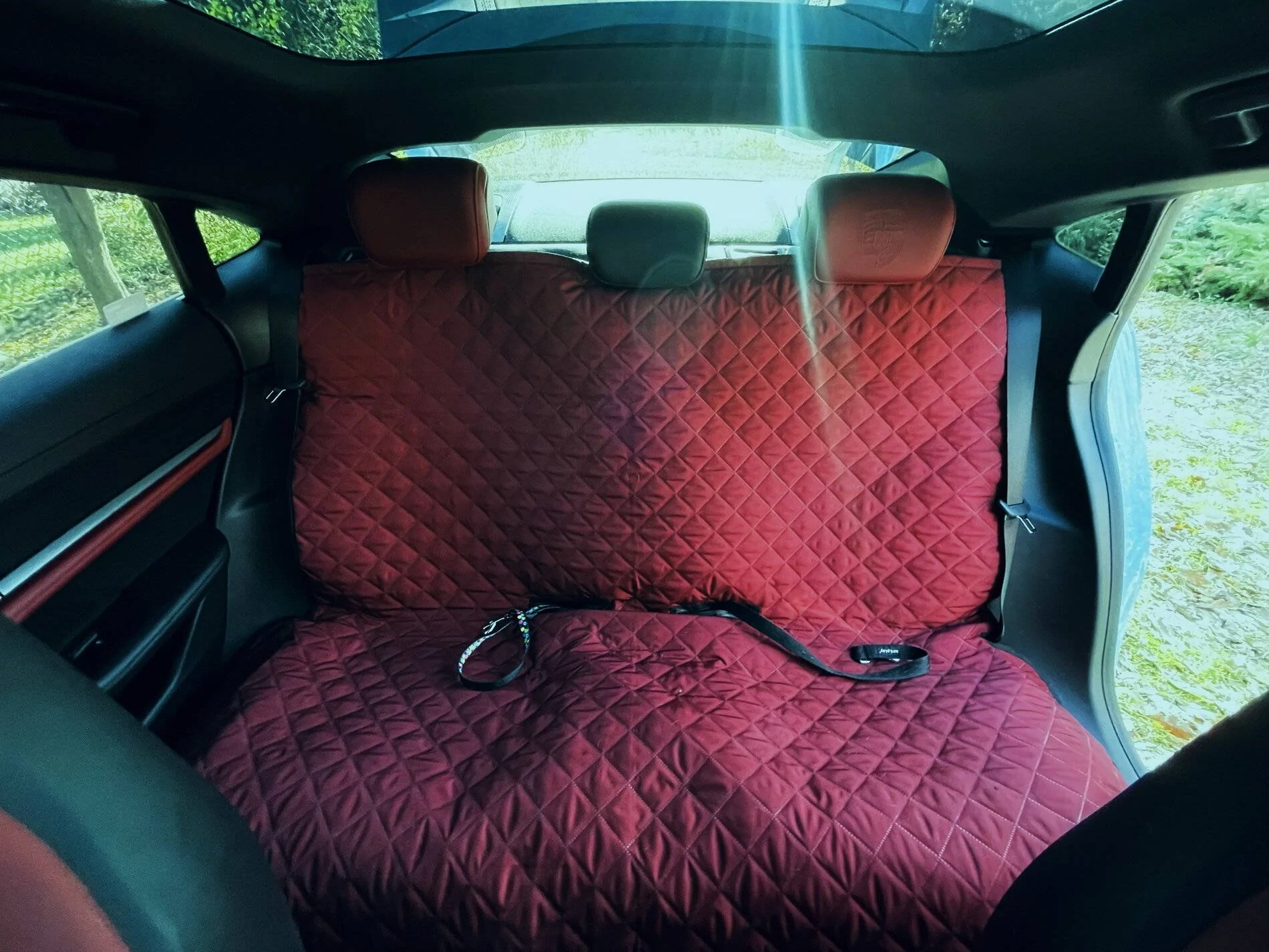 Porsche Taycan Custom dog mats for Taycan IMG_4629