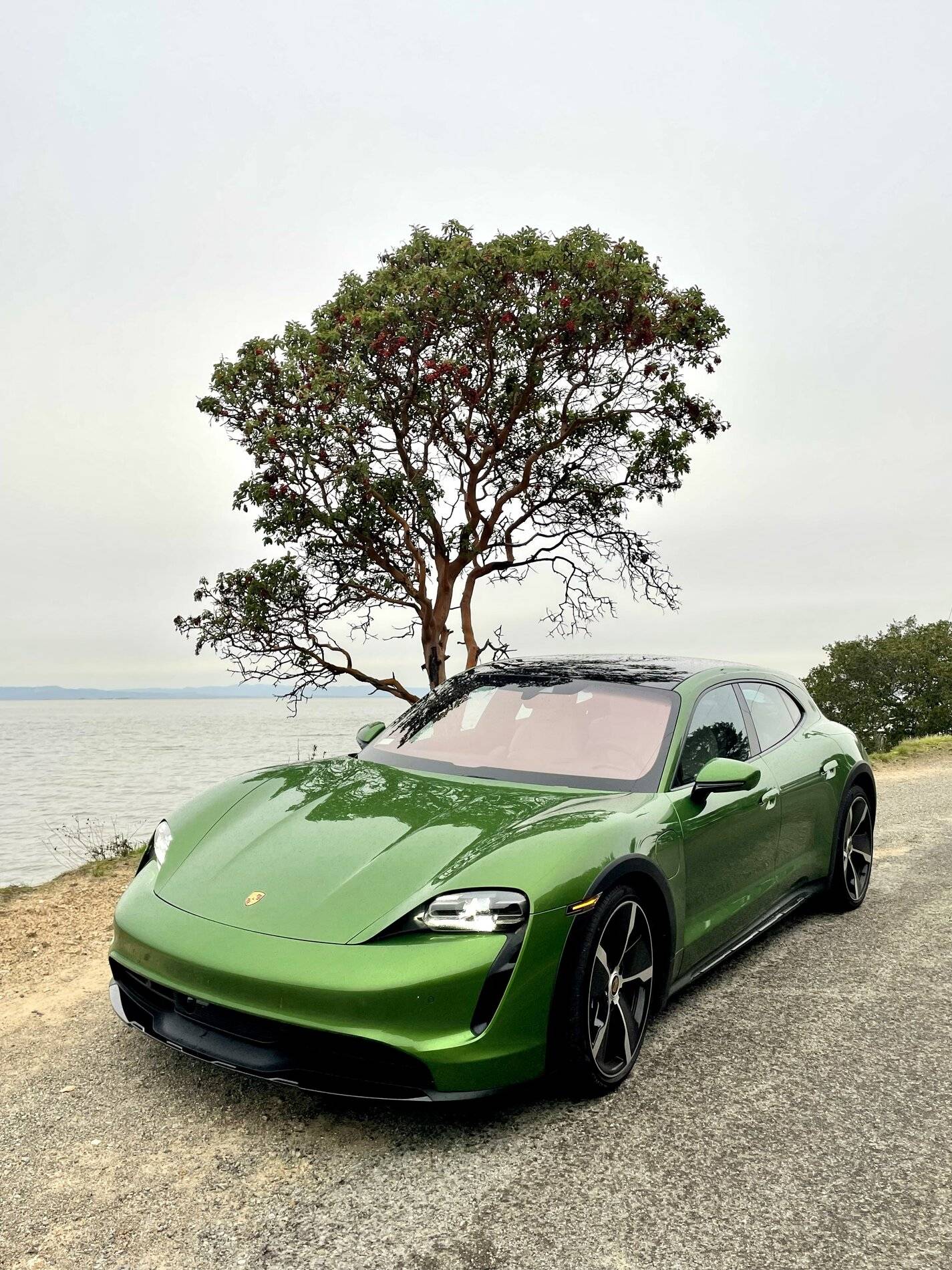 Porsche Taycan Location! Location! Location!  Post Artistic Photos of Your Taycan with Scenery D8F98B36-9F69-4C7A-B21C-2DA532BD77A8