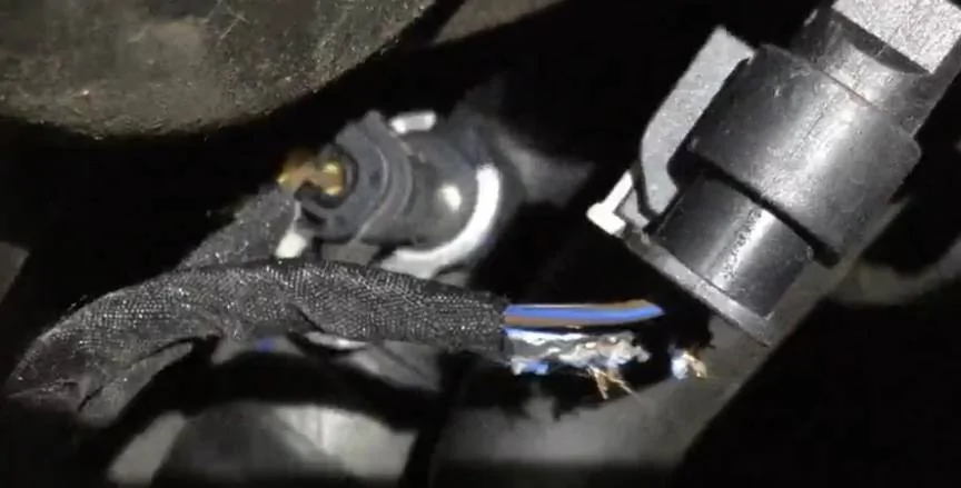 Porsche Taycan Heater issues anyone? fullsizeoutput_bb7