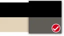 Porsche Taycan Meranti brown vs beige 1638450696373