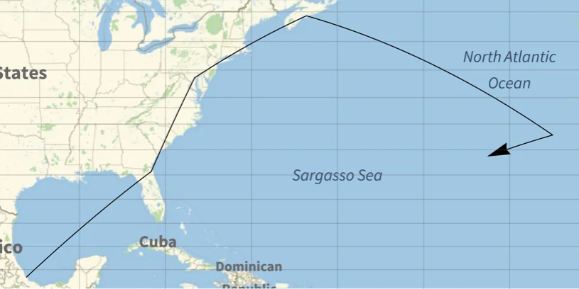 Porsche Taycan January Delivery @Jacksonville Port (US Southeast destination) 1639569393357