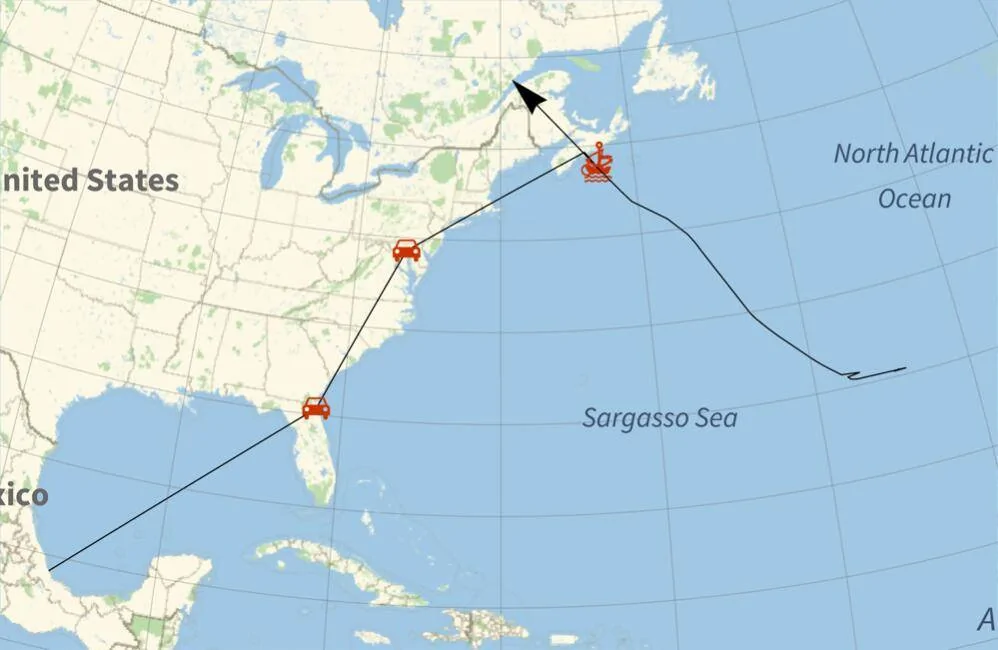 Porsche Taycan January Delivery @Jacksonville Port (US Southeast destination) 1640054616135