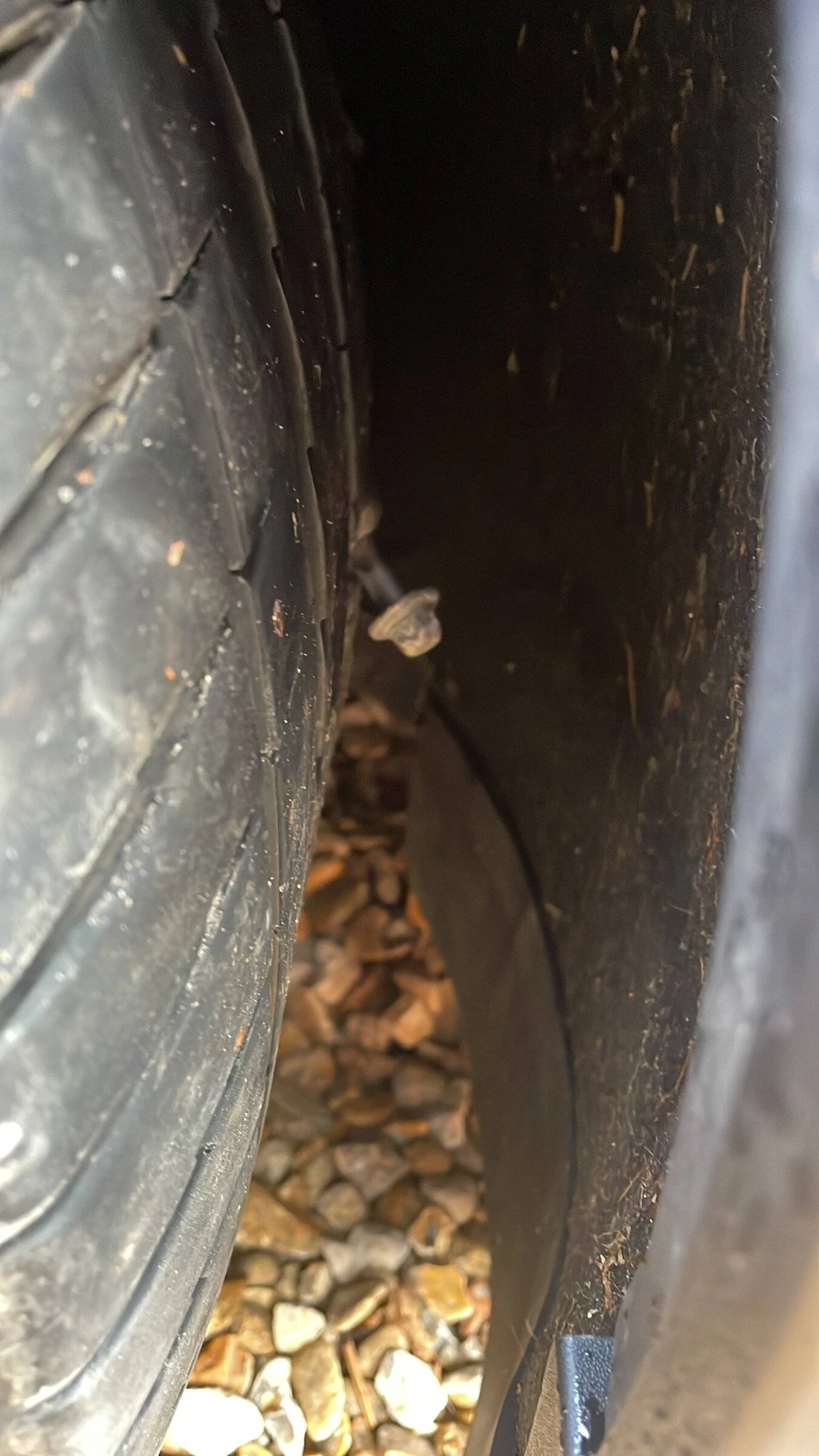 Porsche Taycan Where do you guys get your tyres? D45D8DC4-66A4-4DC5-9C07-431DD0539463