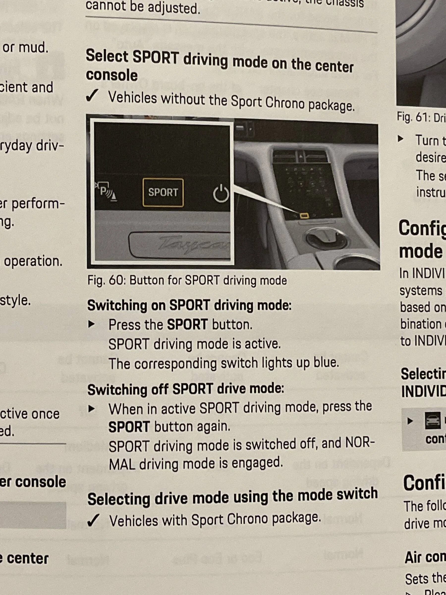 Porsche Taycan Sport/Gravel button imag