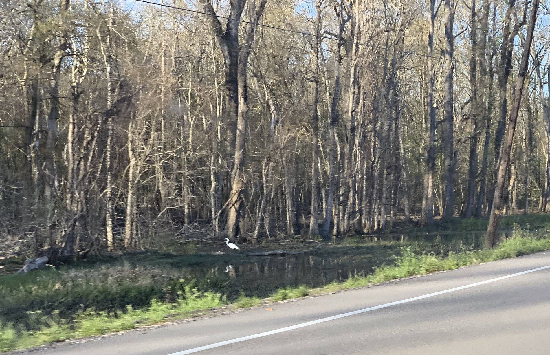 Porsche Taycan Taking One Lap of the Country in my Taycan Turbo - 10k miles in 6 weeks Cross-Country Journal 1323F179-068F-42A0-8A00-1EEEF7B54A27