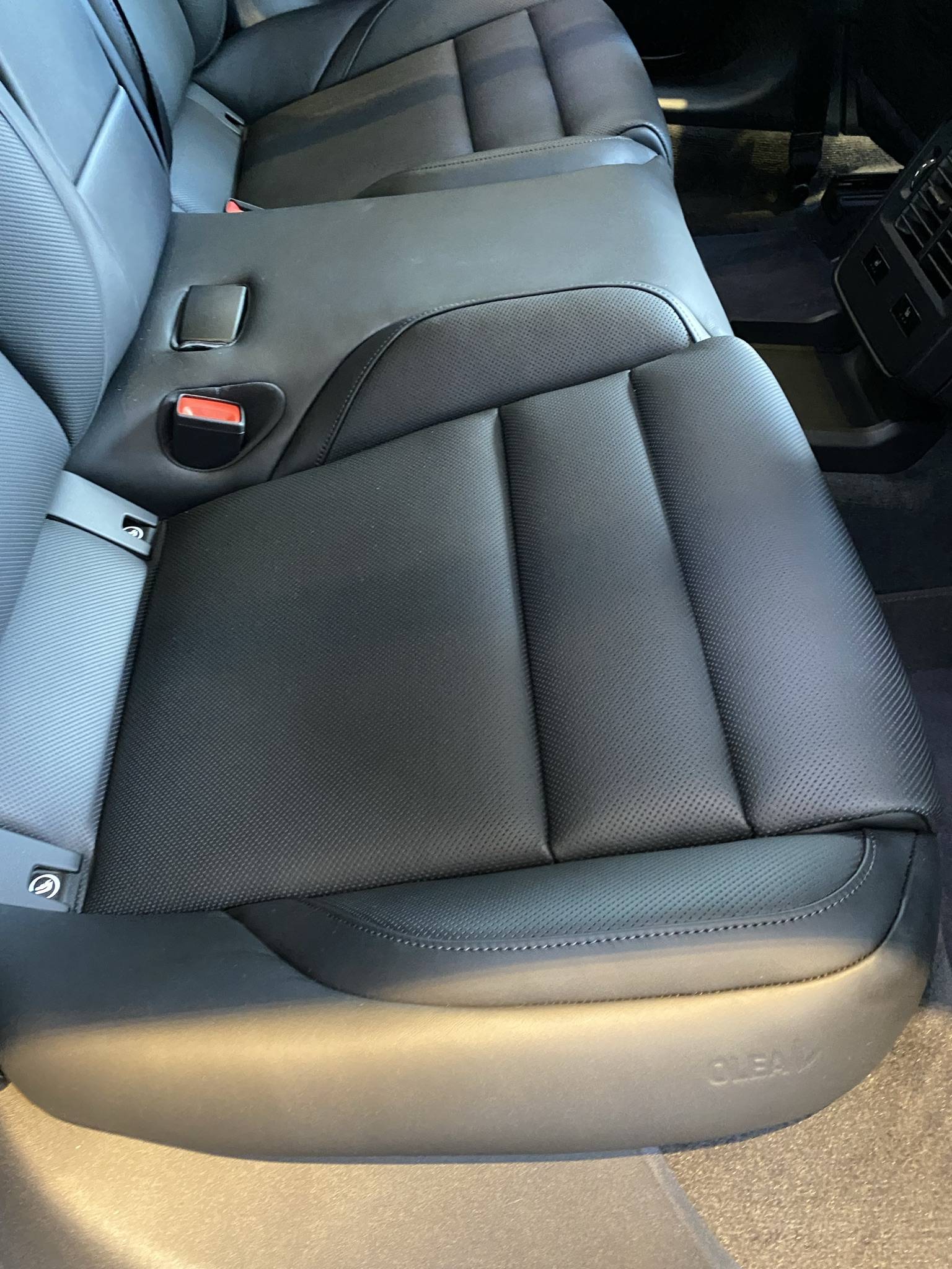 Porsche Taycan Olea Club Leather worth it? 24E2DB20-D0EF-47AC-85C8-1F8A7D29F445