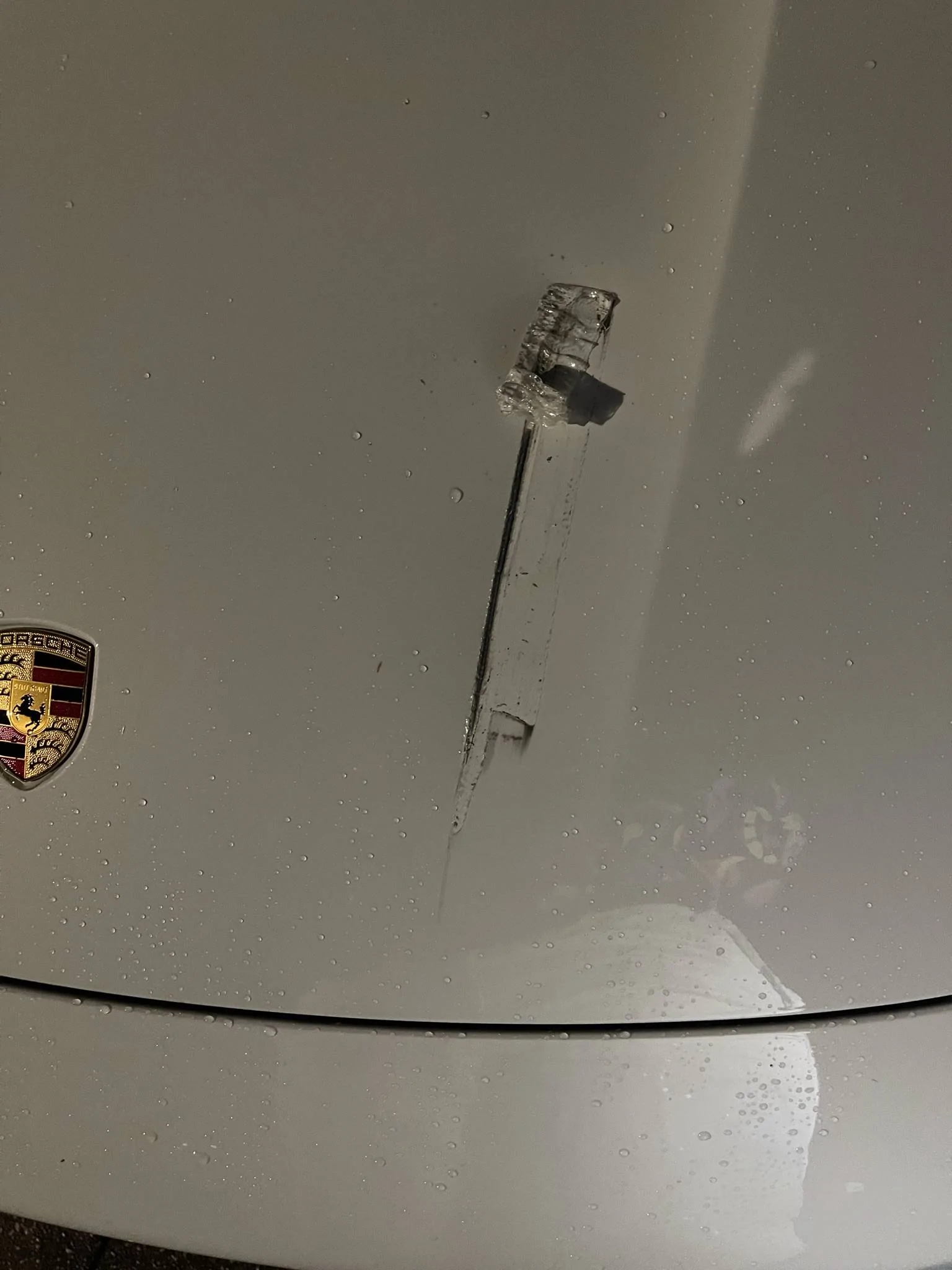 Porsche Taycan Hood damage B2596518-2DED-4123-84E0-8609F84AF596