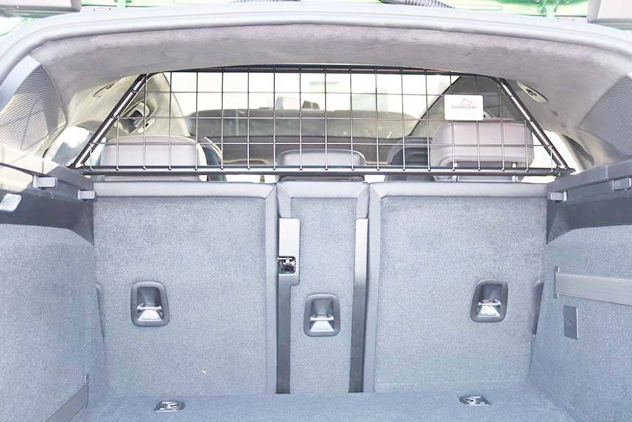 Porsche Taycan Dogs transport in CT G1619 fitted 2