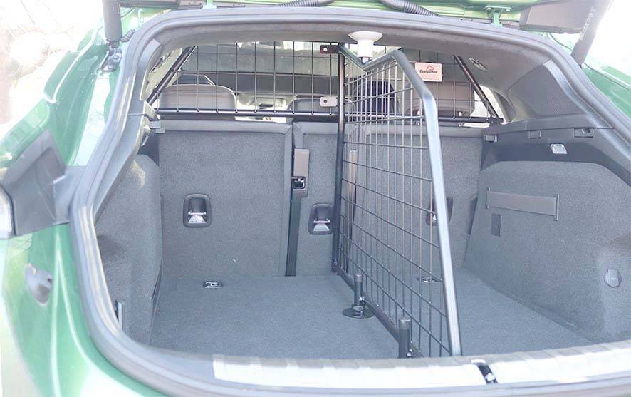 Porsche Taycan Dogs transport in CT G1619 porsche taycan bundle