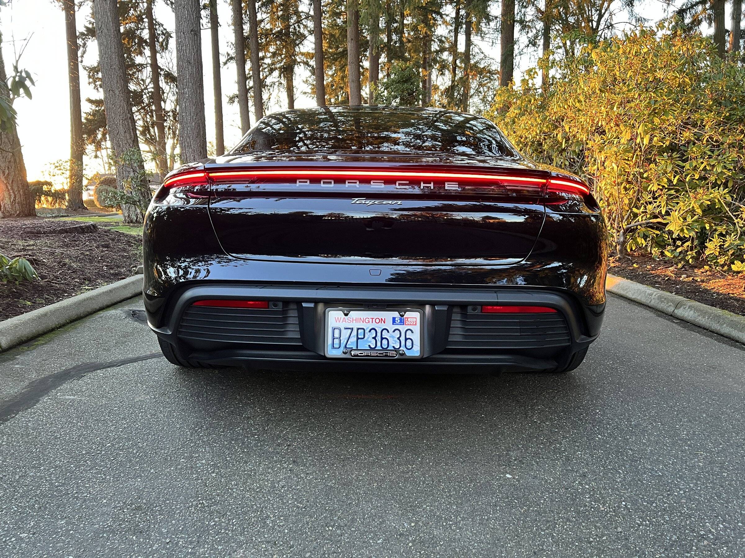 Porsche Taycan PNW Washington taycan owners IMG_2839.JPG