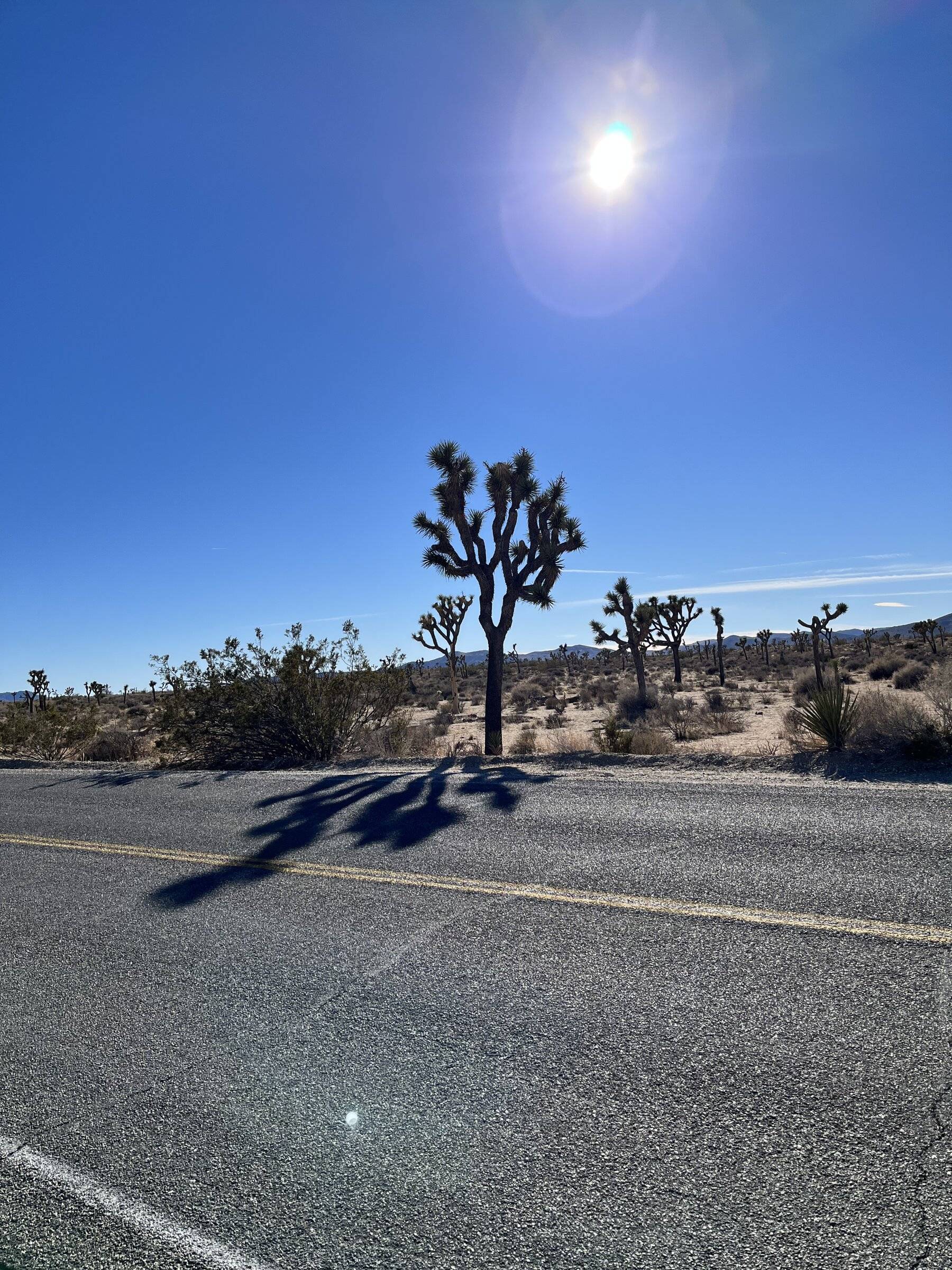 Porsche Taycan Joshua Tree -> Palm Desert Loop 2A2588AA-1A9C-4C80-AAB2-A06E30E49489