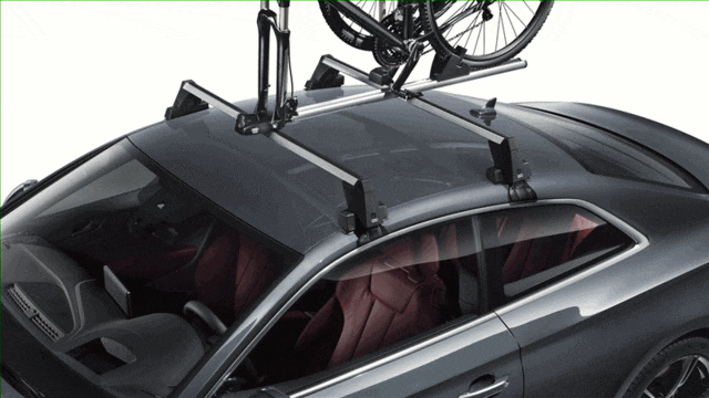 87B93B19-C32F-4D58-A815-30799AEC6C9C.gif