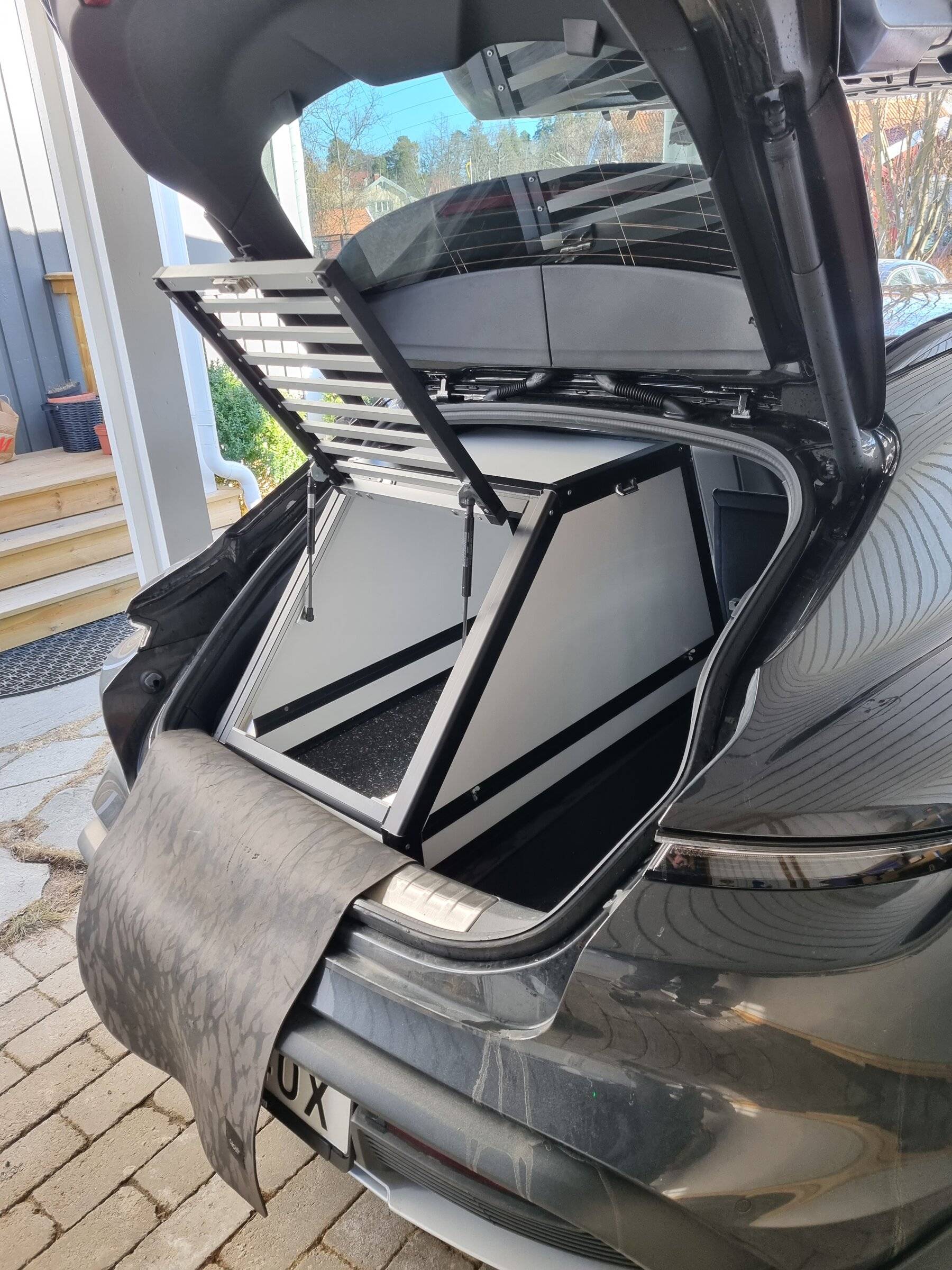Porsche Taycan Dogs transport in CT 8
