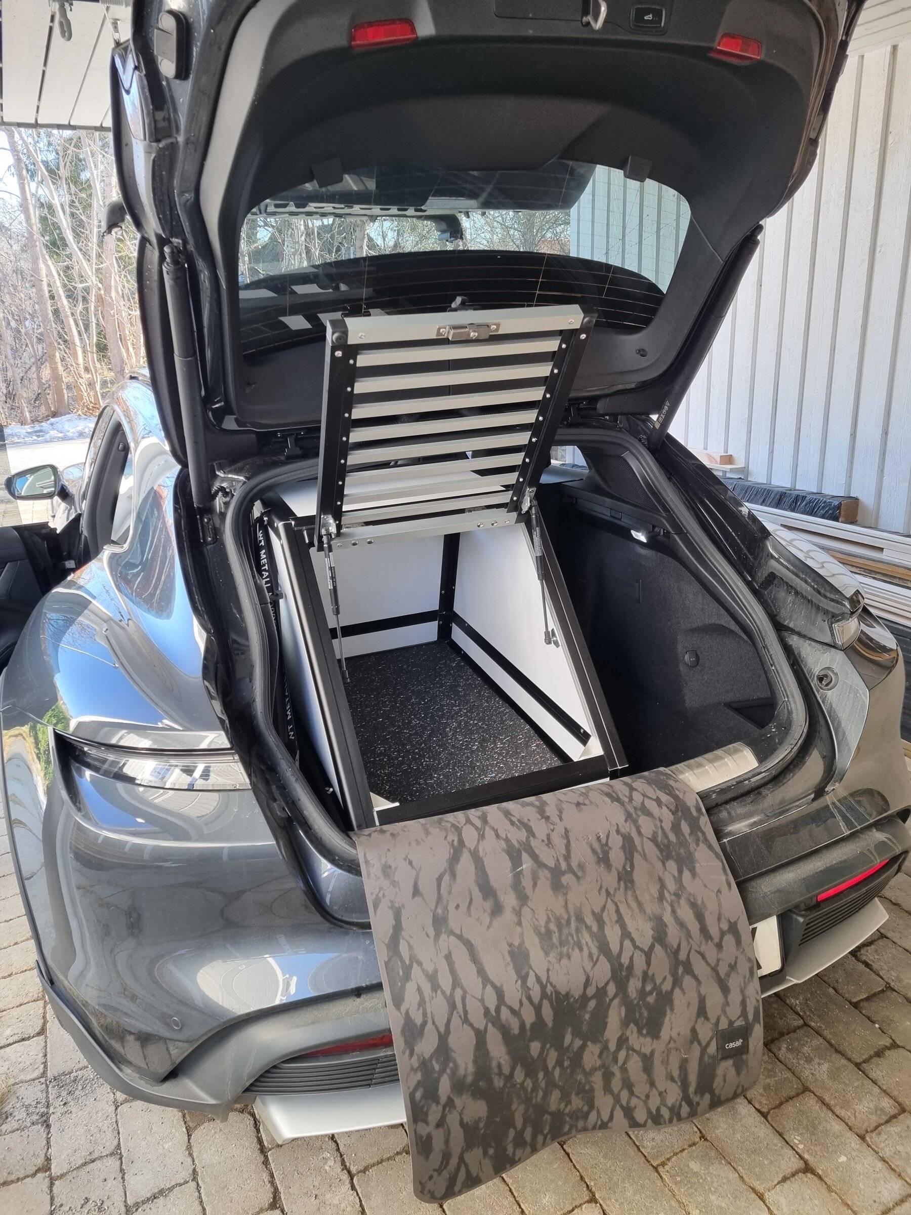 Porsche Taycan Dogs transport in CT 7