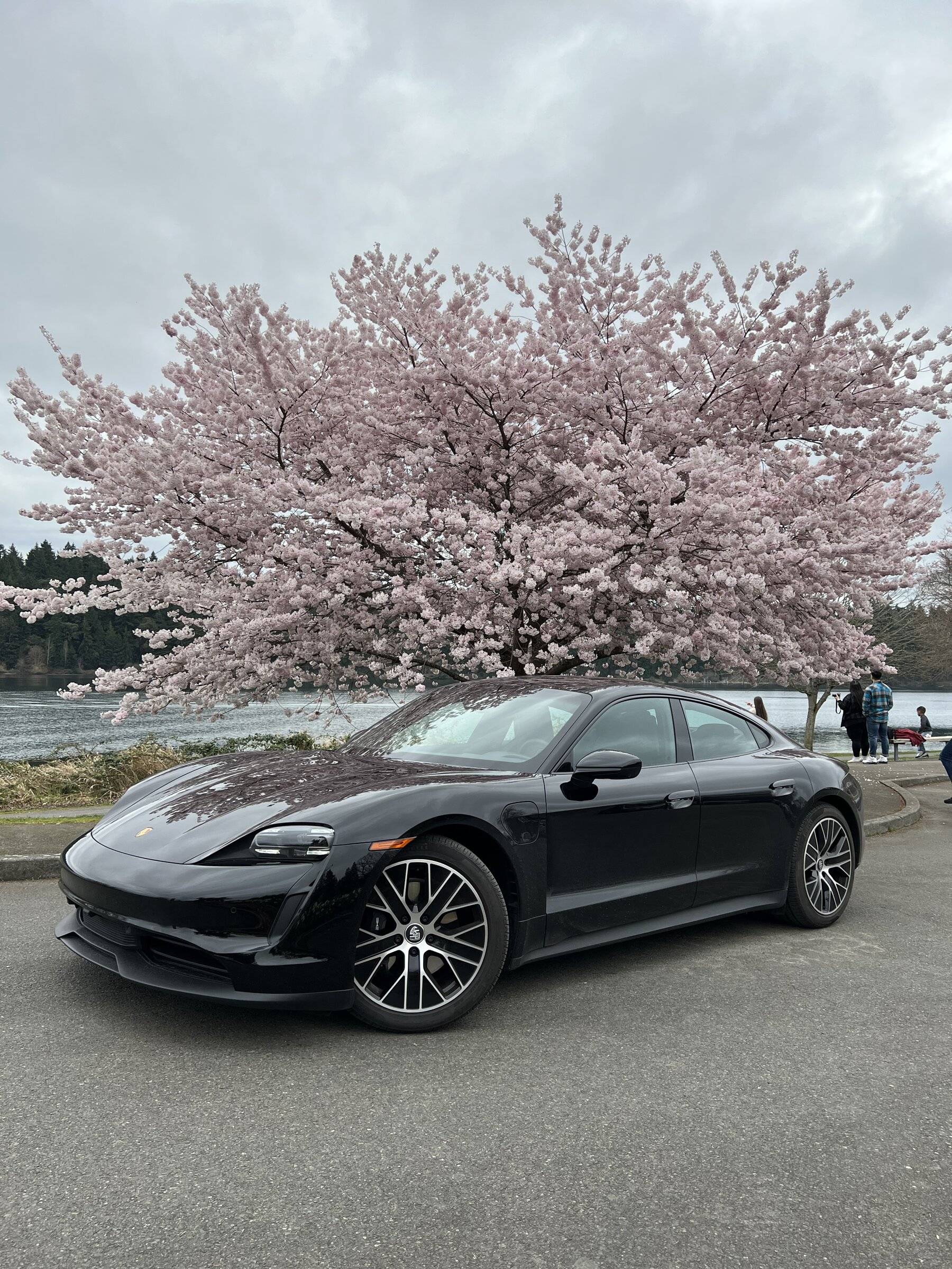 Porsche Taycan PNW Washington taycan owners 79F630F1-33E2-4B86-AABA-985A7B3BCD9A