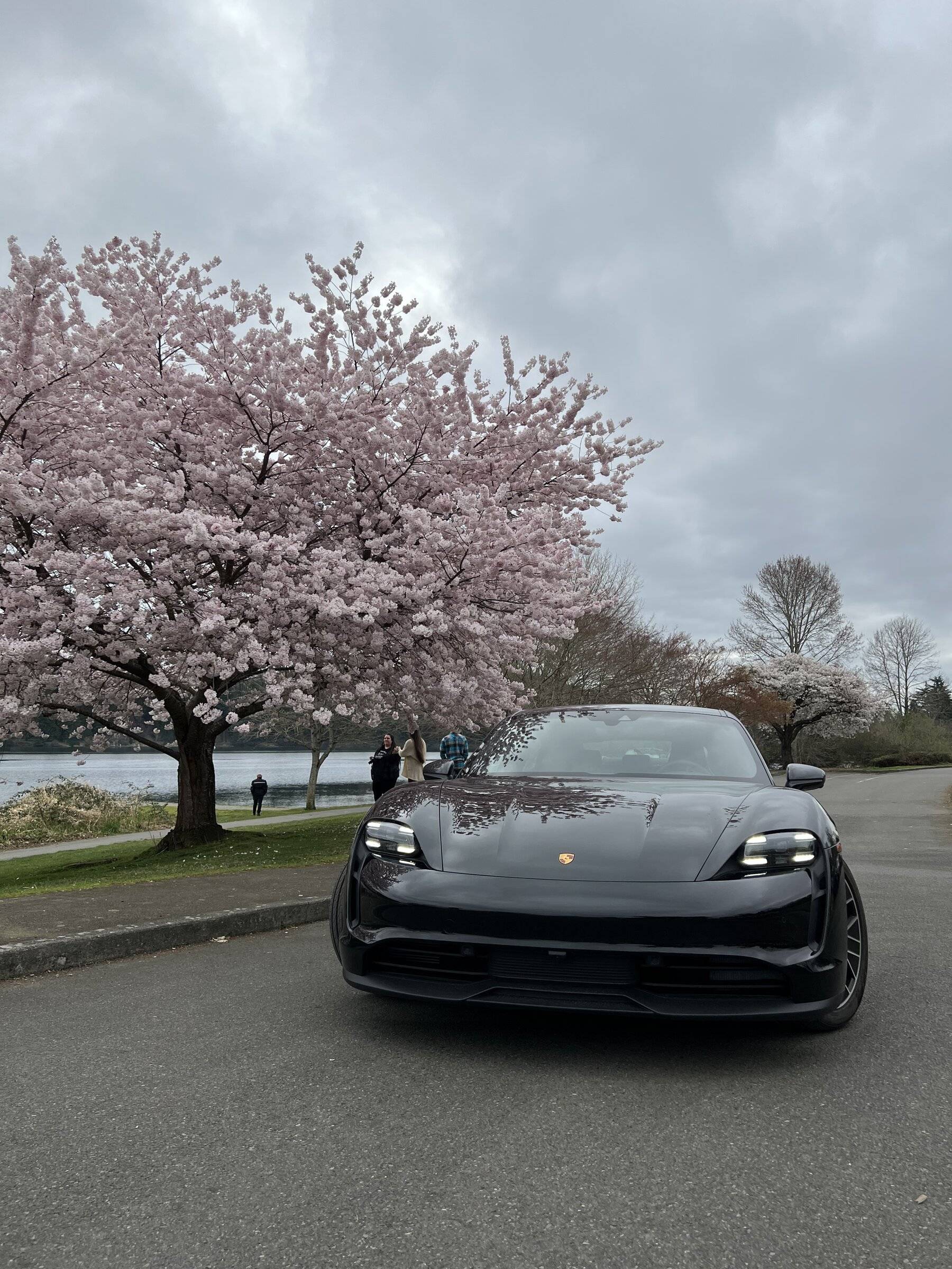Porsche Taycan PNW Washington taycan owners D0D16814-24E7-45DB-899B-59BCEA69D994