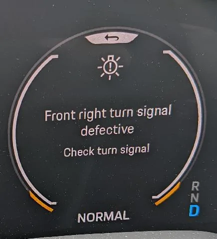 Porsche Taycan Turn Signal Defective PXL_20220422_192842511