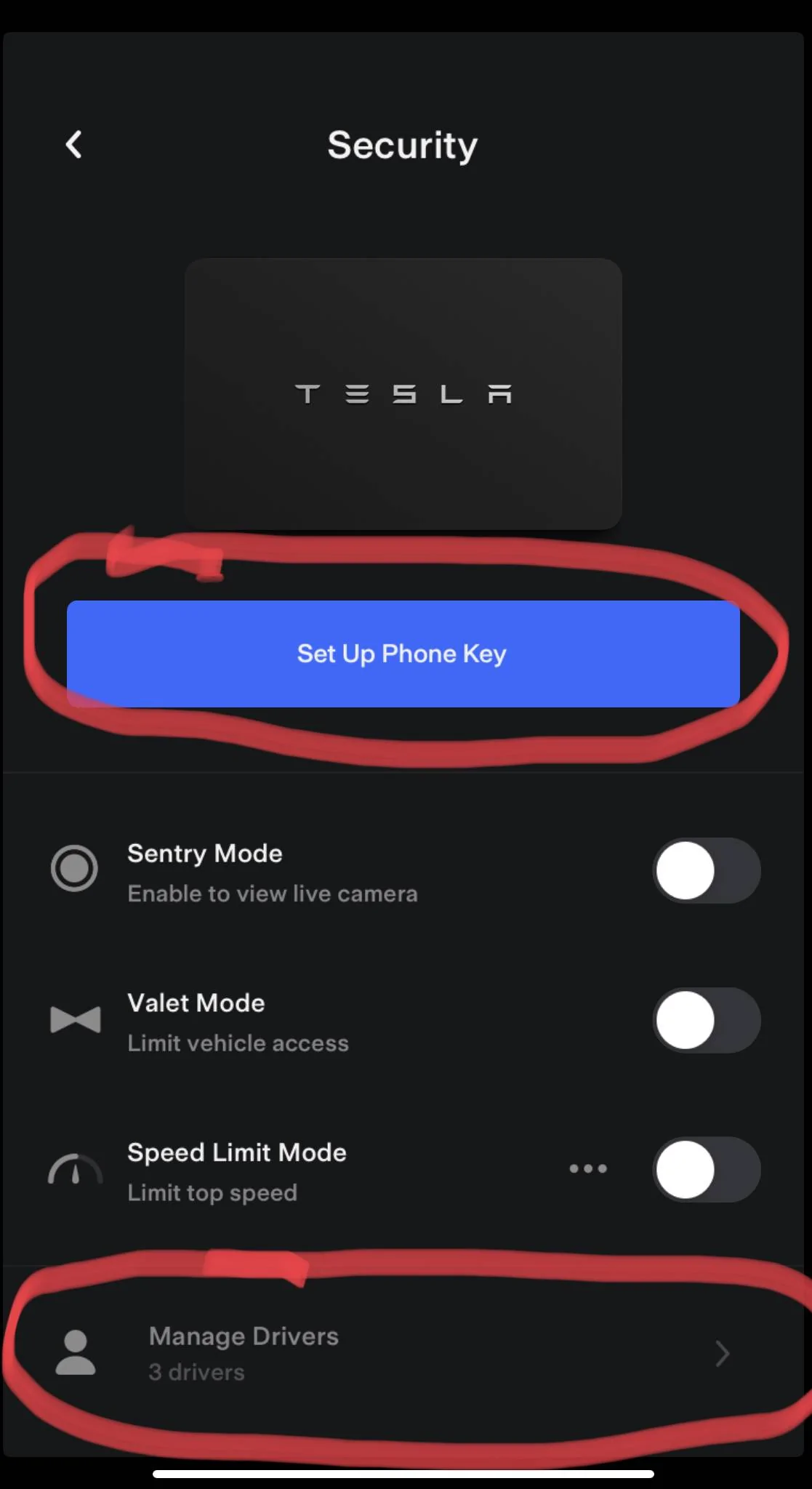 Porsche Taycan Using iPhone as a key? 10EDCCC7-5145-4021-8213-6A8C5A6139A7