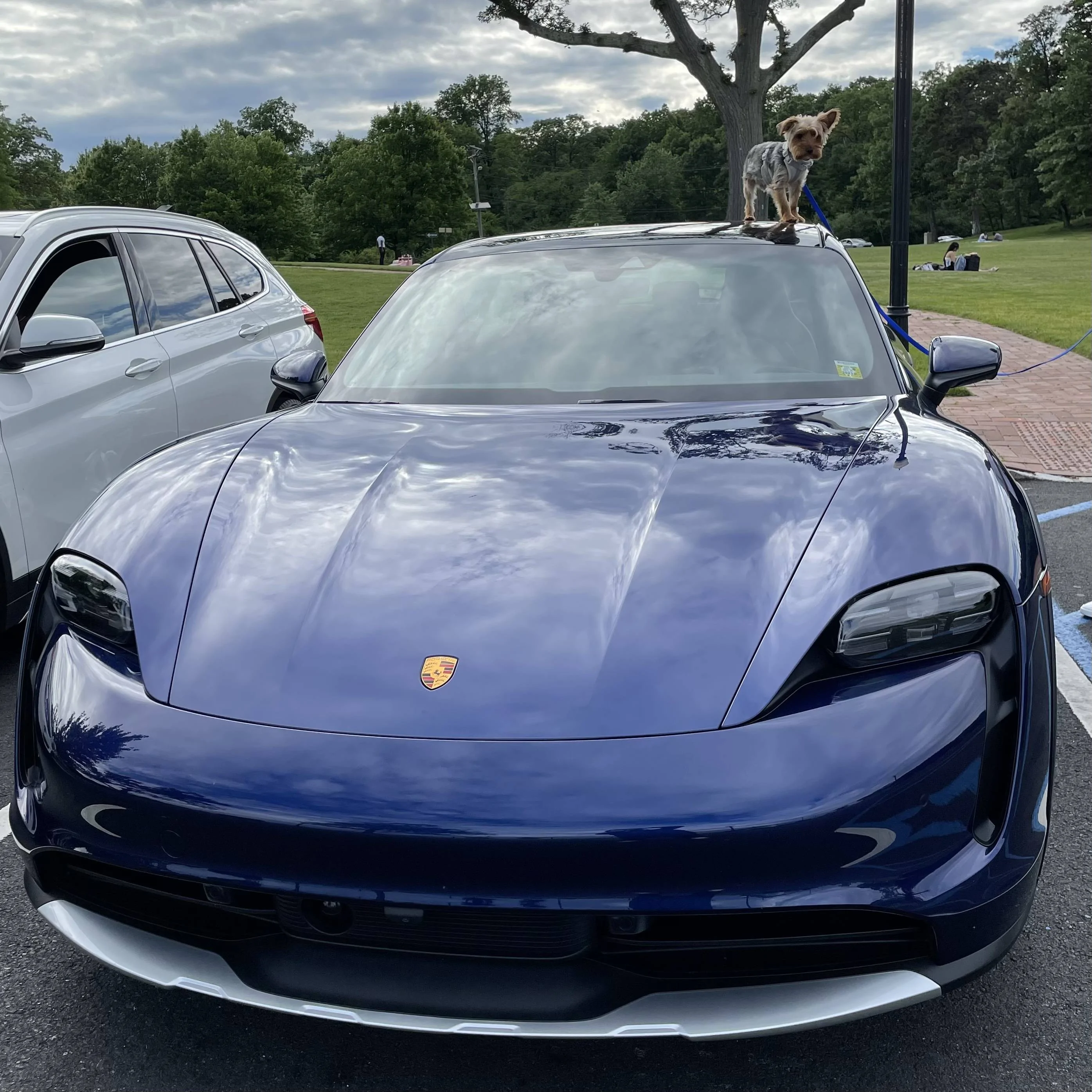 Porsche Taycan June 2022 Deliveries 209512FA-43CB-4314-ABA6-7F9A3715C3E2
