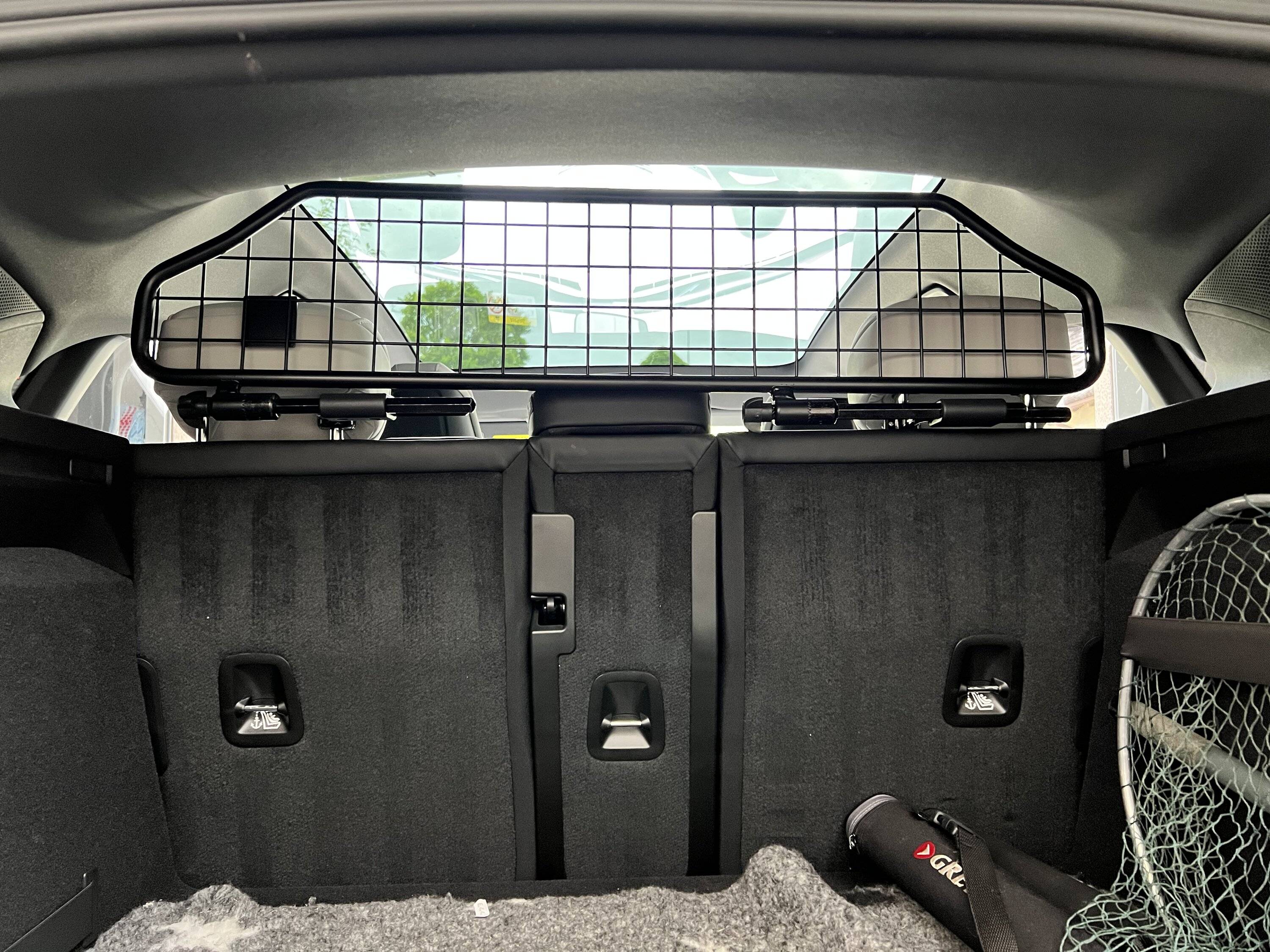 Porsche Taycan Dogs transport in CT 1084669F-671D-41FB-825B-E179FFF27351
