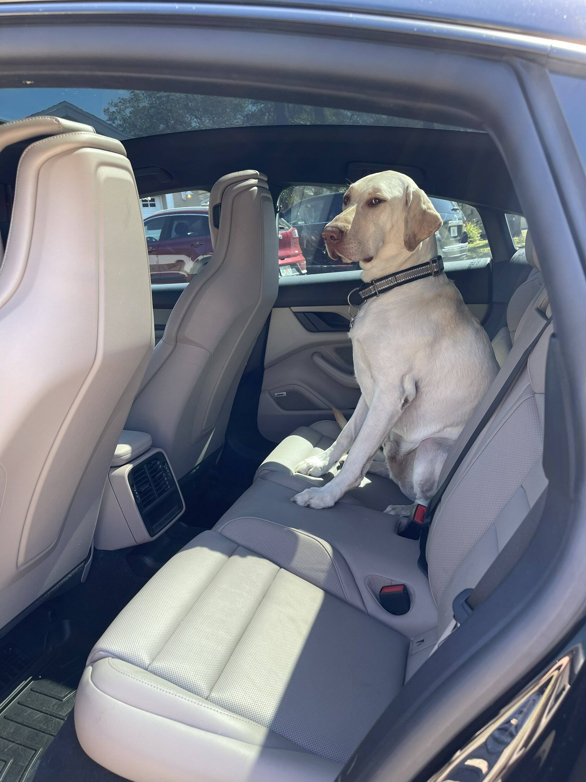 Porsche Taycan Rear seat space....... Backseat