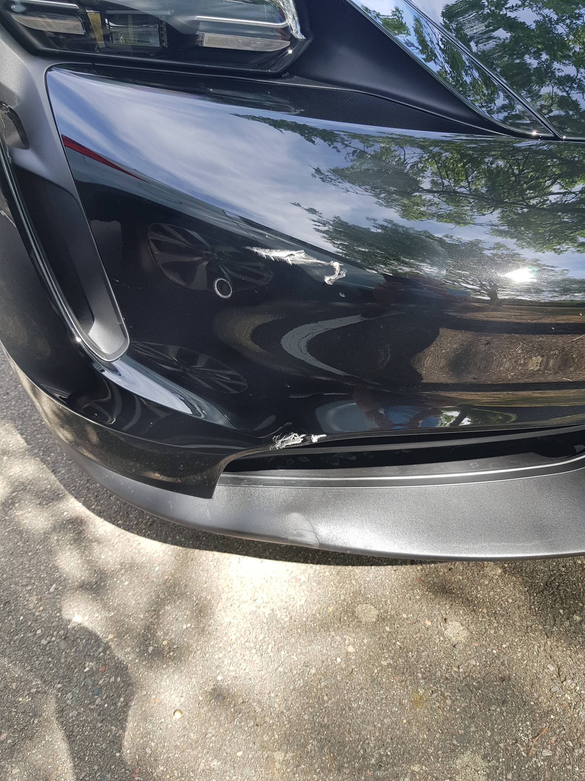 Porsche Taycan PPF Saviour 20220713_152906