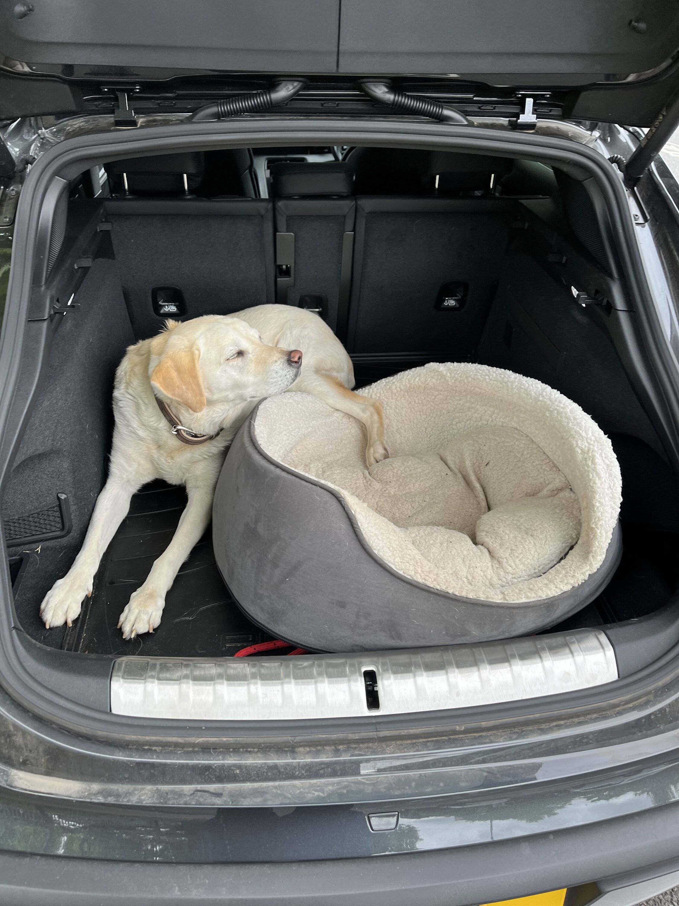 Porsche Taycan REAR SEAT COVERS tempImageVi6N2F