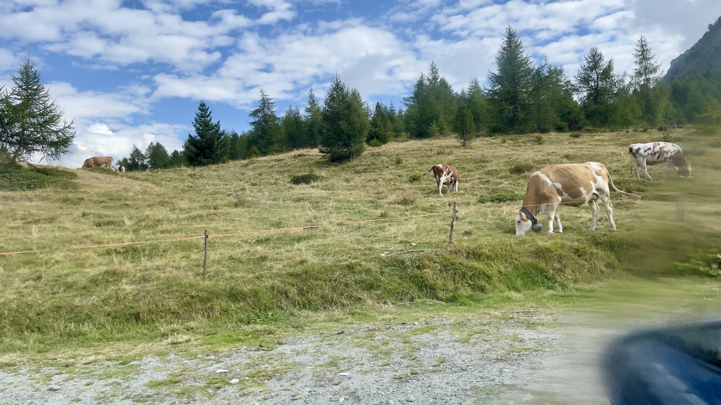 Porsche Taycan Taycan to the Alps 18-day road trip 2022 52335255321_293700f3e3_o